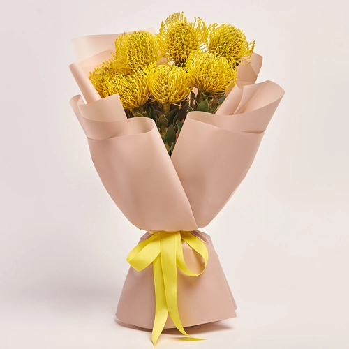 Product image Bouquet of 7 Leucospermums, packaging: Powder, vendor code: 3689