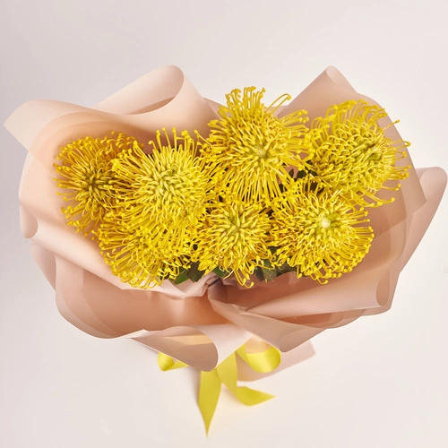 Product image Bouquet of 7 Leucospermums, packaging: Powder, vendor code: 3689