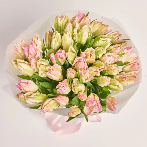 Product image Bouquet 51 Tulips light pink Parrot, packaging: Transparent, vendor code: 3692
