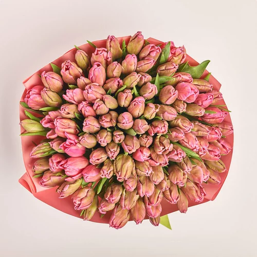Product image Bouquet 101 Tulips Pink Parrot, packaging: Gradiens pink, vendor code: 3693
