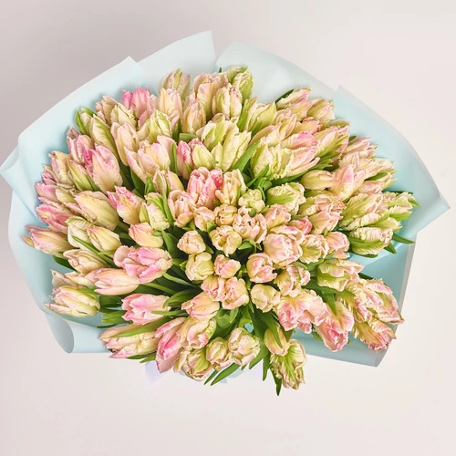 Product image Bouquet 101 Tulips light pink Parrot, packaging: Blue, vendor code: 3694