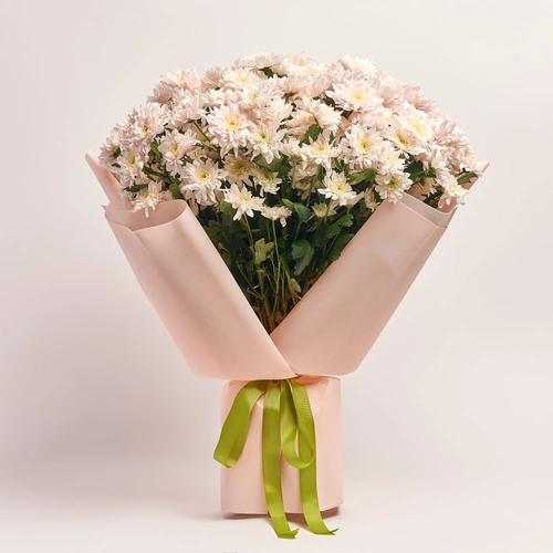 Product image Bouquet of 25 light pink Chrysanthemums, packaging: Kafin rose, vendor code: 3697