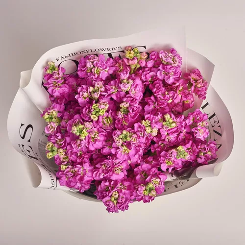 Product image Bouquet of 25 Raspberry Matthiols, packaging: Newspaper, vendor code: 3708