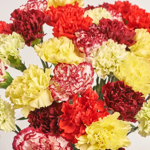 Product image Bouquet 35 Carnations mix, packaging: Kafin rust, vendor code: 3709
