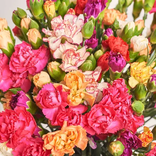 Product image Bouquet 51 Bright Spray Carnation Mix, packaging: Gradiens pink, vendor code: 3711