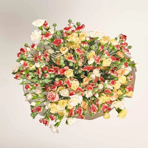 Product image Bouquet 51 Bright Spray Carnation Mix, packaging: White, vendor code: 3711