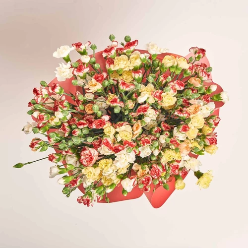 Product image Bouquet 51 Bright Spray Carnation Mix, packaging: Gradiens pink, vendor code: 3711