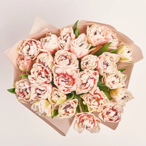 Product image Bouquet of 25 pink and white peony Tulips, packaging: Powder, vendor code: 3715