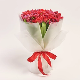 Product image Bouquet of 25 red terry Tulips, packaging: Transparent, vendor code: 3717