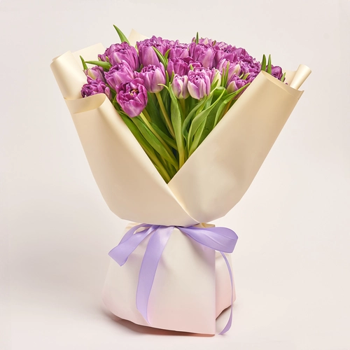 Зображення товару Букет 51 Фіолетовий Тюльпан Дабл, пакування: Градієнт рожевий, артикул: 3723