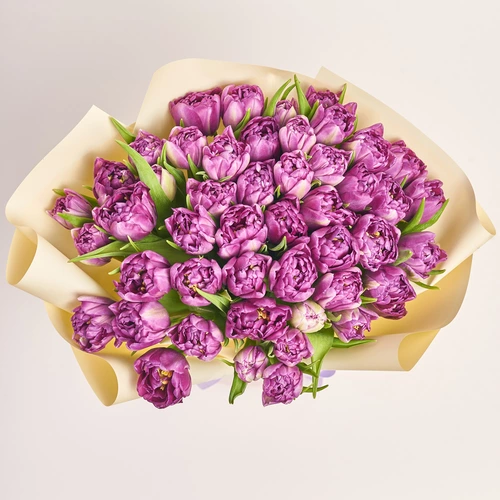 Product image Bouquet of 51 Purple Tulips Double, packaging: Gradiens pink, vendor code: 3723