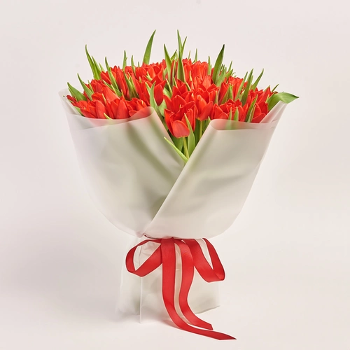 Product image Bouquet of 51 red Tulips Classic, packaging: Transparent, vendor code: 3727