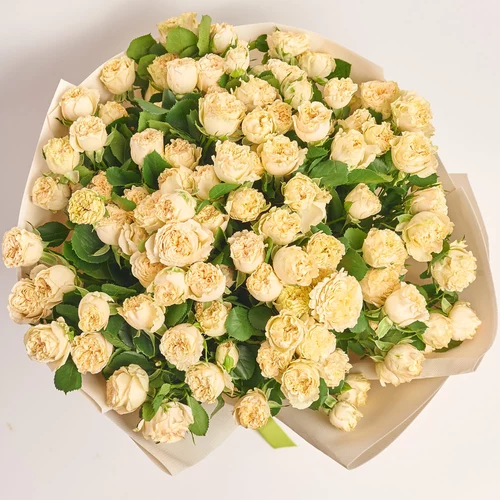 Product image Bouquet of 25 Beige Roses Spray, packaging: Kafin cream, vendor code: 3750