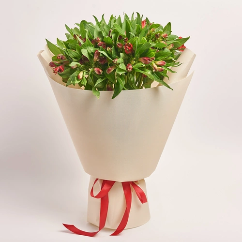 Product image Bouquet of 25 red Alstroemerias, packaging: Kafin cream, vendor code: 3754