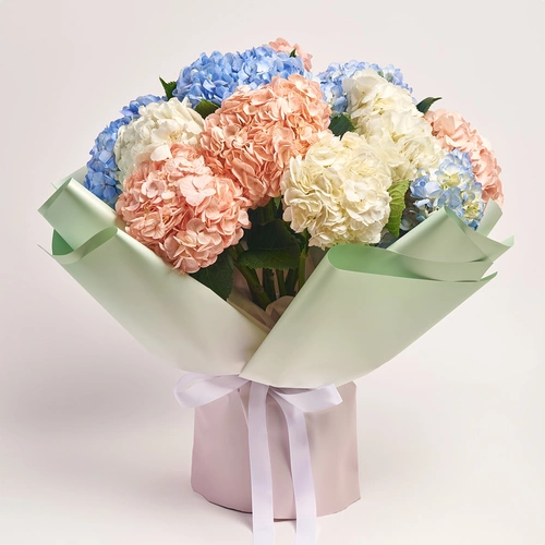 Product image Bouquet of 15 Hydrangeas Mix, packaging: Gradiens tiffany, vendor code: 3764