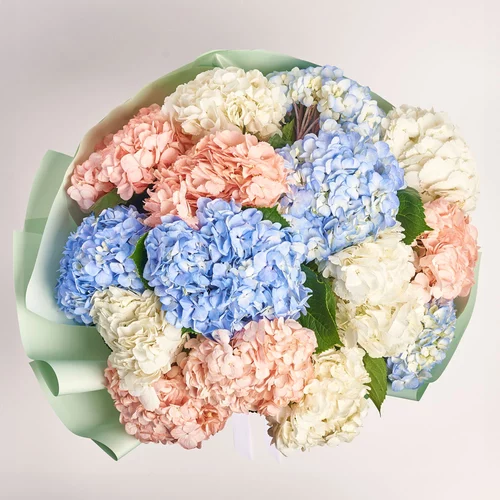 Product image Bouquet of 15 Hydrangeas Mix, packaging: Gradiens tiffany, vendor code: 3764