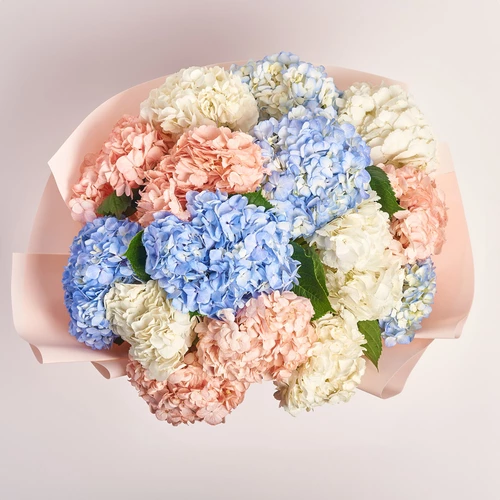 Product image Bouquet of 15 Hydrangeas Mix, packaging: Kafin rose, vendor code: 3764