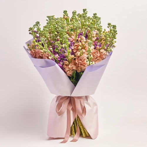 Product image Bouquet 101 Matiola Mix, packaging: Gradiens violet, vendor code: 3766