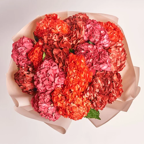 Product image Bouquet of 15 Red Hydrangeas mix, packaging: Powder, vendor code: 3768