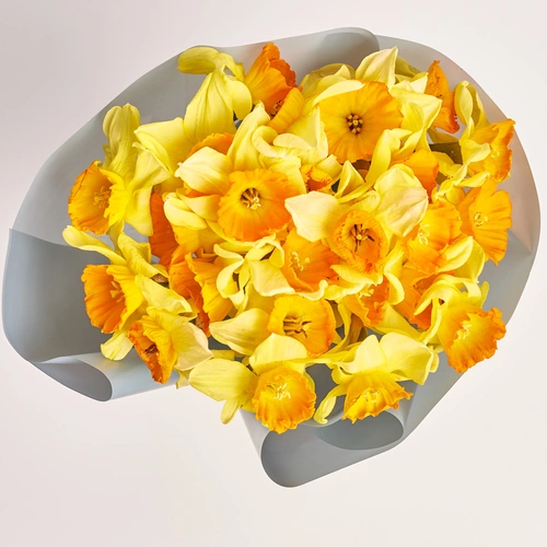 Product image Bouquet of 25 Yellow-Orange Narcissus, packaging: Gray, vendor code: 3772