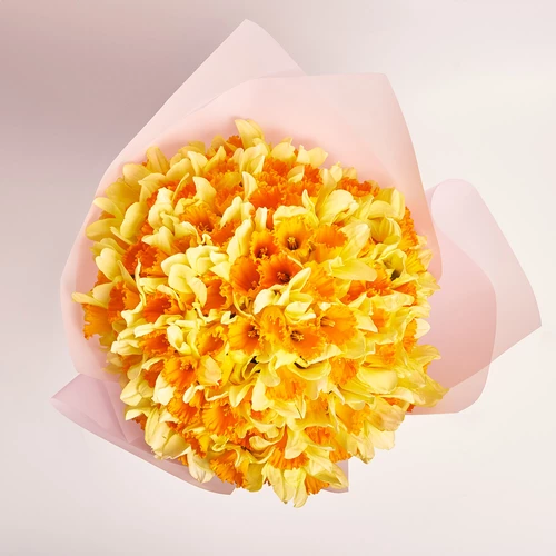 Product image Bouquet 101 Yellow-orange Narcissus, packaging: Pink, vendor code: 3774