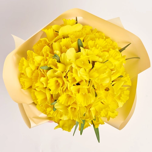 Product image Bouquet 51 Yellow Narcissus, packaging: Gradiens pink, vendor code: 3775