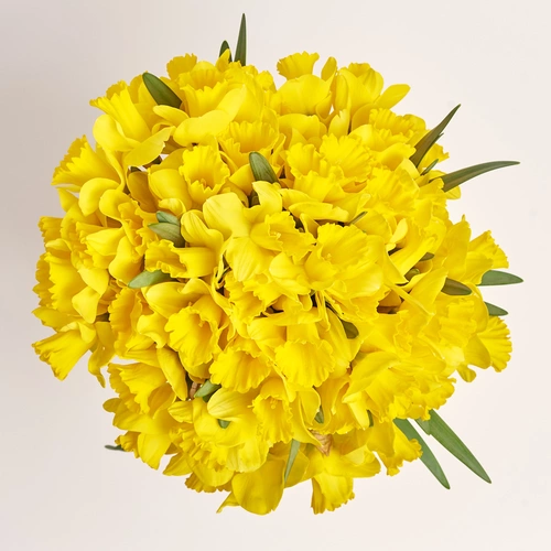 Product image Bouquet 51 Yellow Narcissus, packaging: Gradiens pink, vendor code: 3775