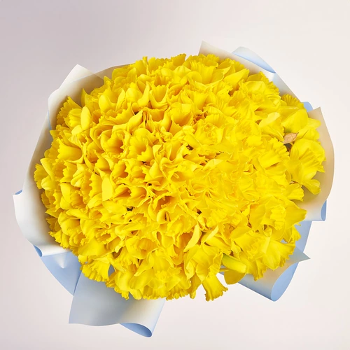 Product image Bouquet 101 Yellow Narcissus, packaging: Gradiens light blue, vendor code: 3776