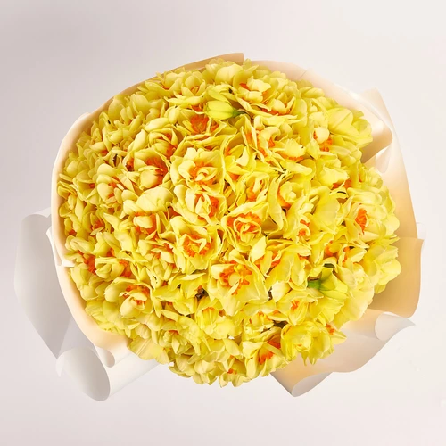 Product image Bouquet 101 Narcissus Tahiti, packaging: White, vendor code: 3779