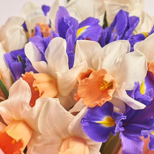 Product image Bouquet 51 White Narcissus and Iris Mix, packaging: Kafin rose, vendor code: 3781