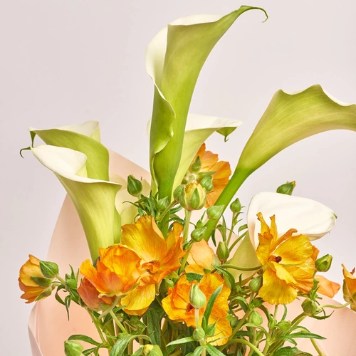 Product image Duo Bouquet with Cаllas and Ranunculuses, packaging: Kafin rose, vendor code: 3789