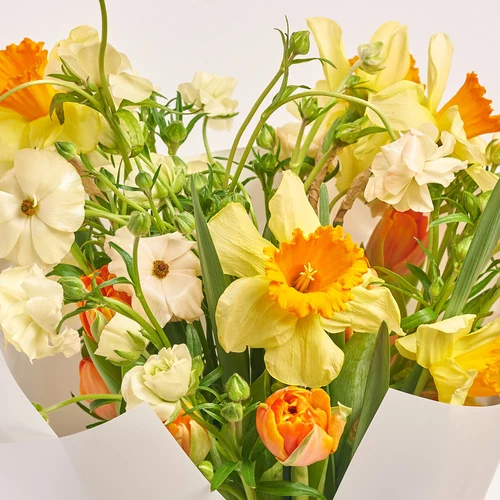 Product image Trio Bouquet with Narcissuses, Tulips and Ranunculuses, packaging: White, vendor code: 3790