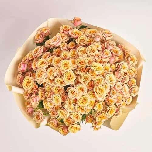 Product image Bouquet of 25 Peach Roses Spray, packaging: Gradiens pink, vendor code: 3794