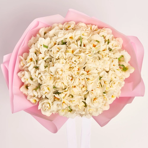Product image Bouquet 101 White Narcissus, packaging: Pink, vendor code: 3796
