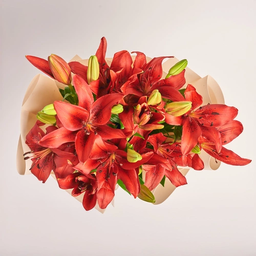 Product image Bouquet of 9 Red Lilies, packaging: Kafin cream, vendor code: 3797