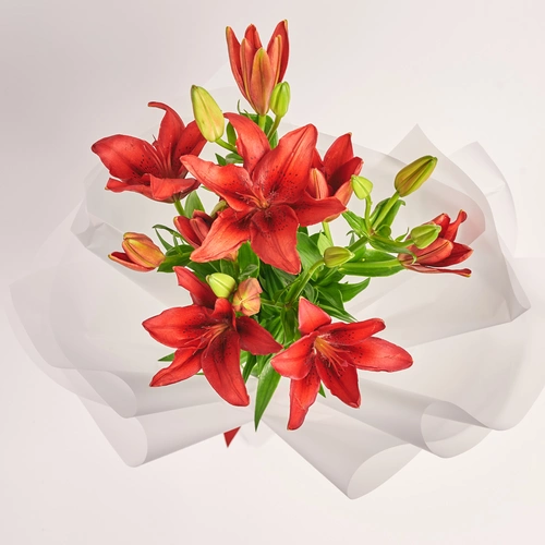 Product image Bouquet of 5 Red Lilies, packaging: Transparent, vendor code: 3798
