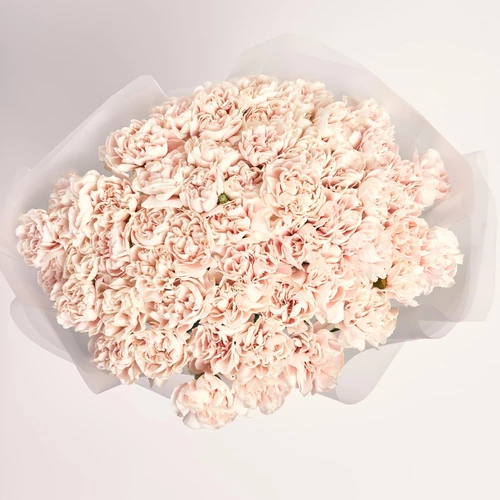 Product image Bouquet 51 Light Pink Carnations, packaging: Transparent, vendor code: 3805