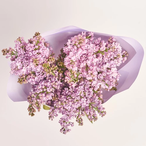 Product image Bouquet of 5 Branches of Purple Lilac, packaging: Gradiens violet, vendor code: 3806