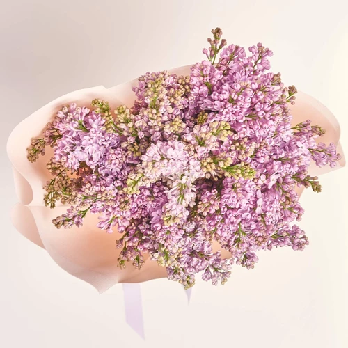 Product image Bouquet of 9 Branches of Purple Lilac, packaging: Kafin rose, vendor code: 3807