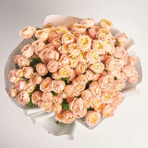 Product image Bouquet of 25 peach peony Roses Spray, packaging: White, vendor code: 3812
