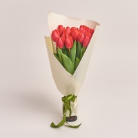 Bouquet of 15 Red Tulips
