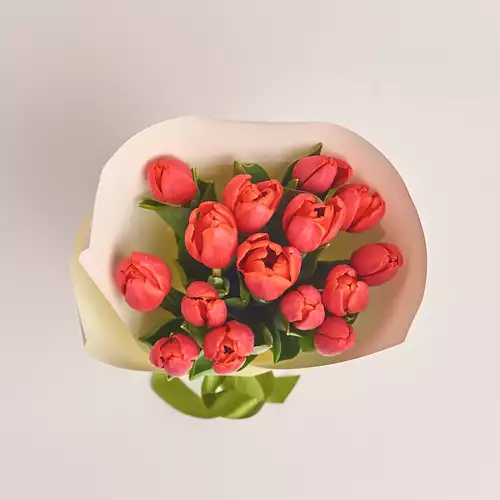 Изображение товара Букет 15 Красных тюльпанов, упаковка: Белая, артикул: 2249