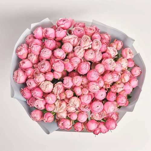 Product image Bouquet of 25 pink peony-shaped Spray Roses, packaging: Gray, vendor code: 3813