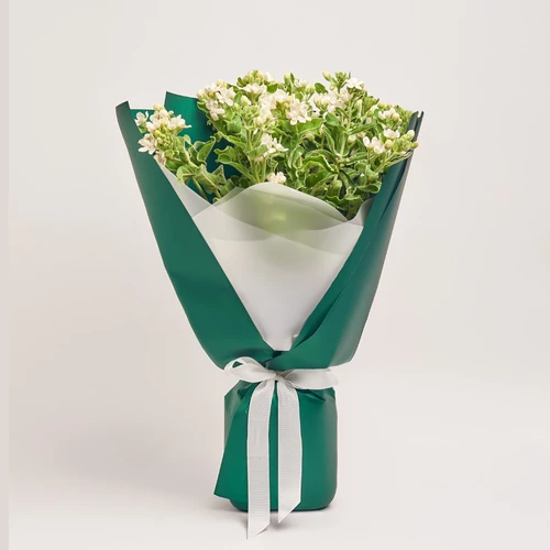 Product image Bouquet of 15 White Oxypetalums, packaging: Green, vendor code: 3814