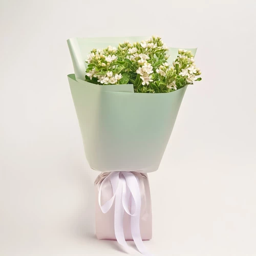 Product image , vendor code: 