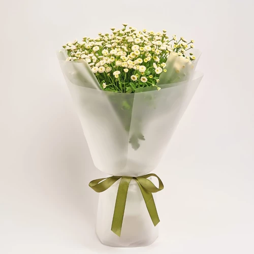 Product image , vendor code: 