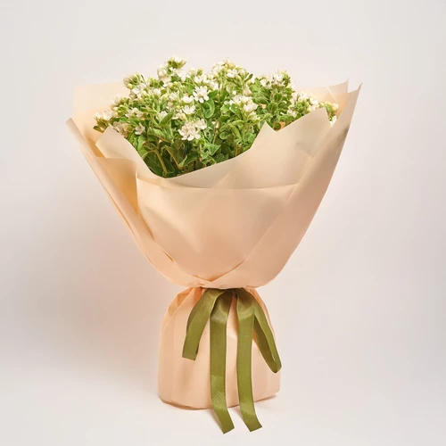 Bouquet of 25 White Oxypetalums