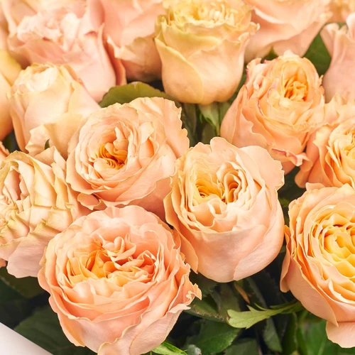 Product image Bouquet of 25 Roses Princess Crown, packaging: White, vendor code: 3817