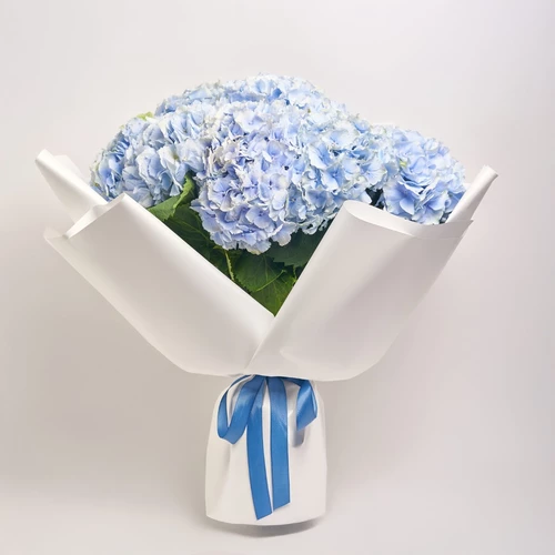 Product image , vendor code: 