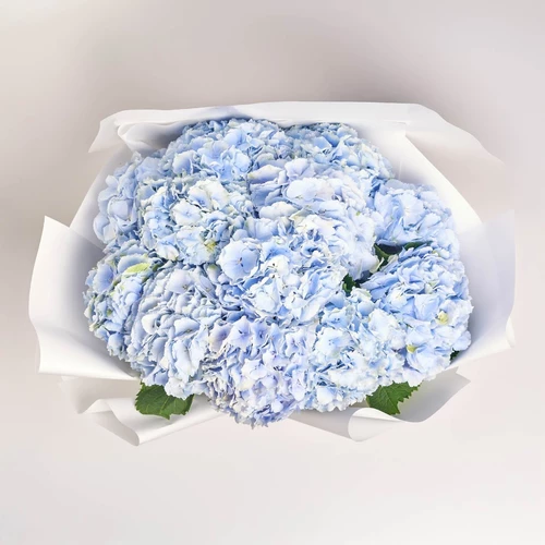 Product image Bouquet of 11 Blue Hydrangeas, packaging: White, vendor code: 3818